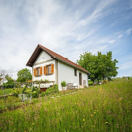 Weinlofts Weinloft I Villa Edlitz im Burgenland Екстериор снимка