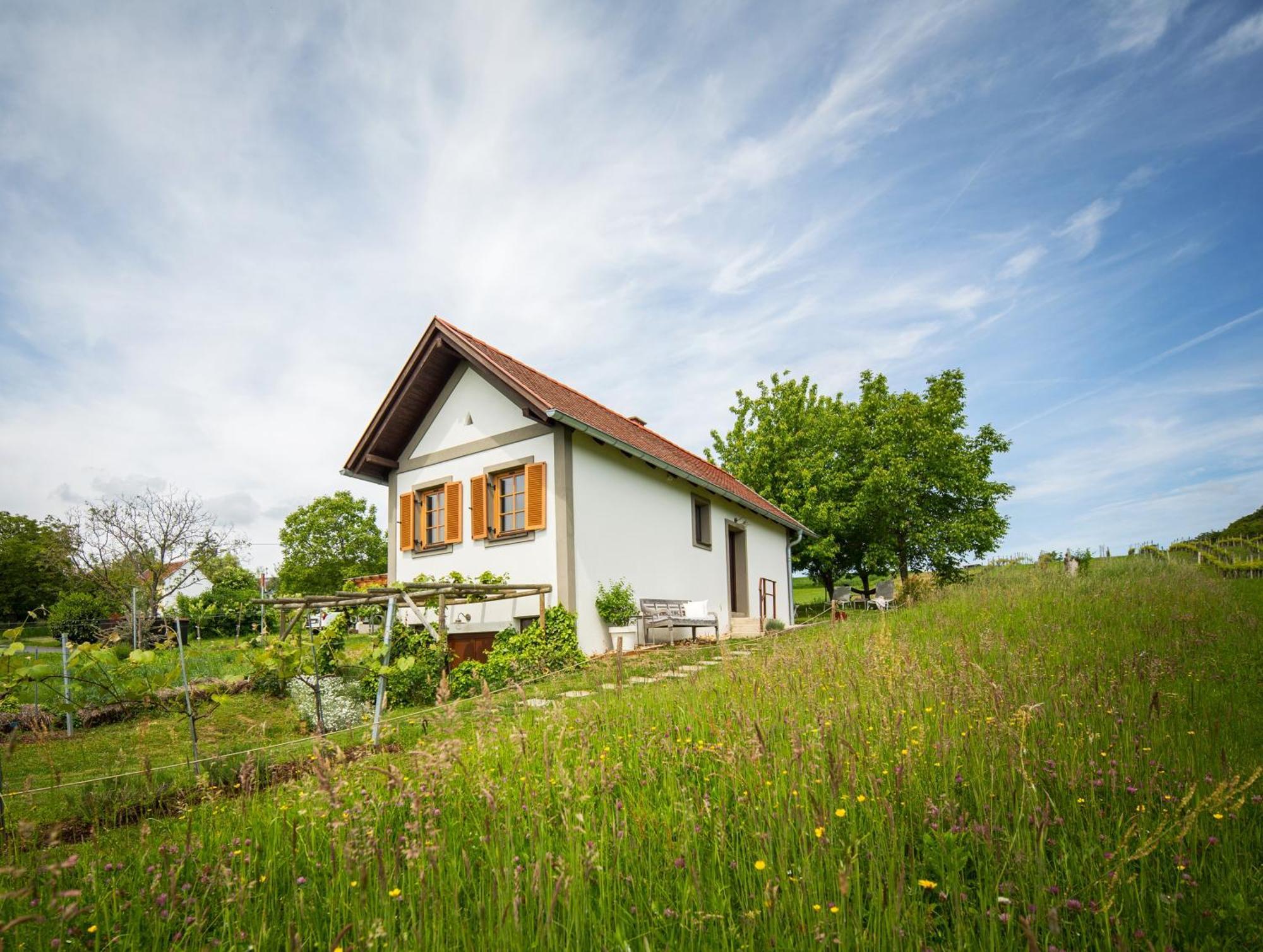 Weinlofts Weinloft I Villa Edlitz im Burgenland Екстериор снимка