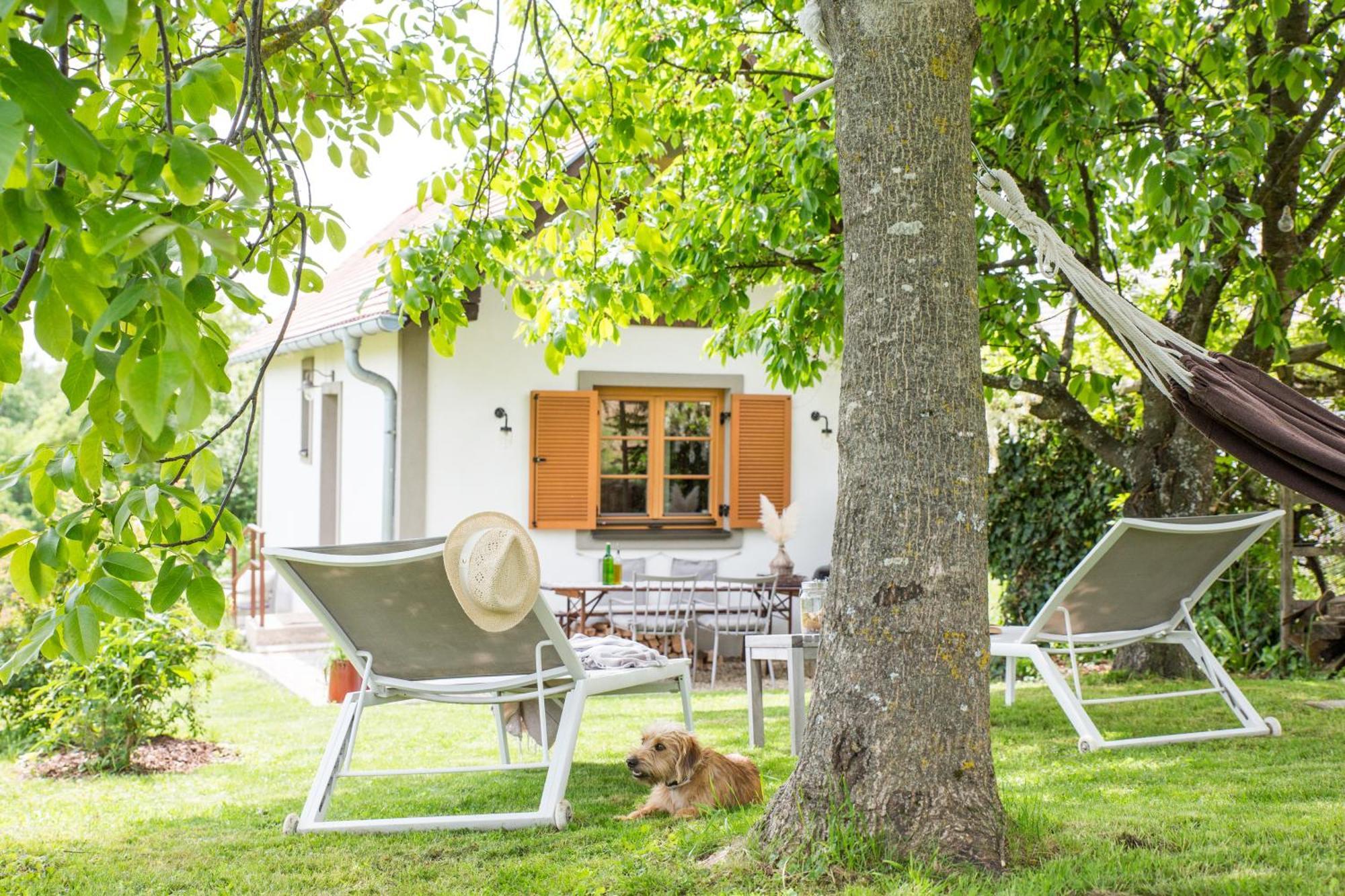 Weinlofts Weinloft I Villa Edlitz im Burgenland Екстериор снимка
