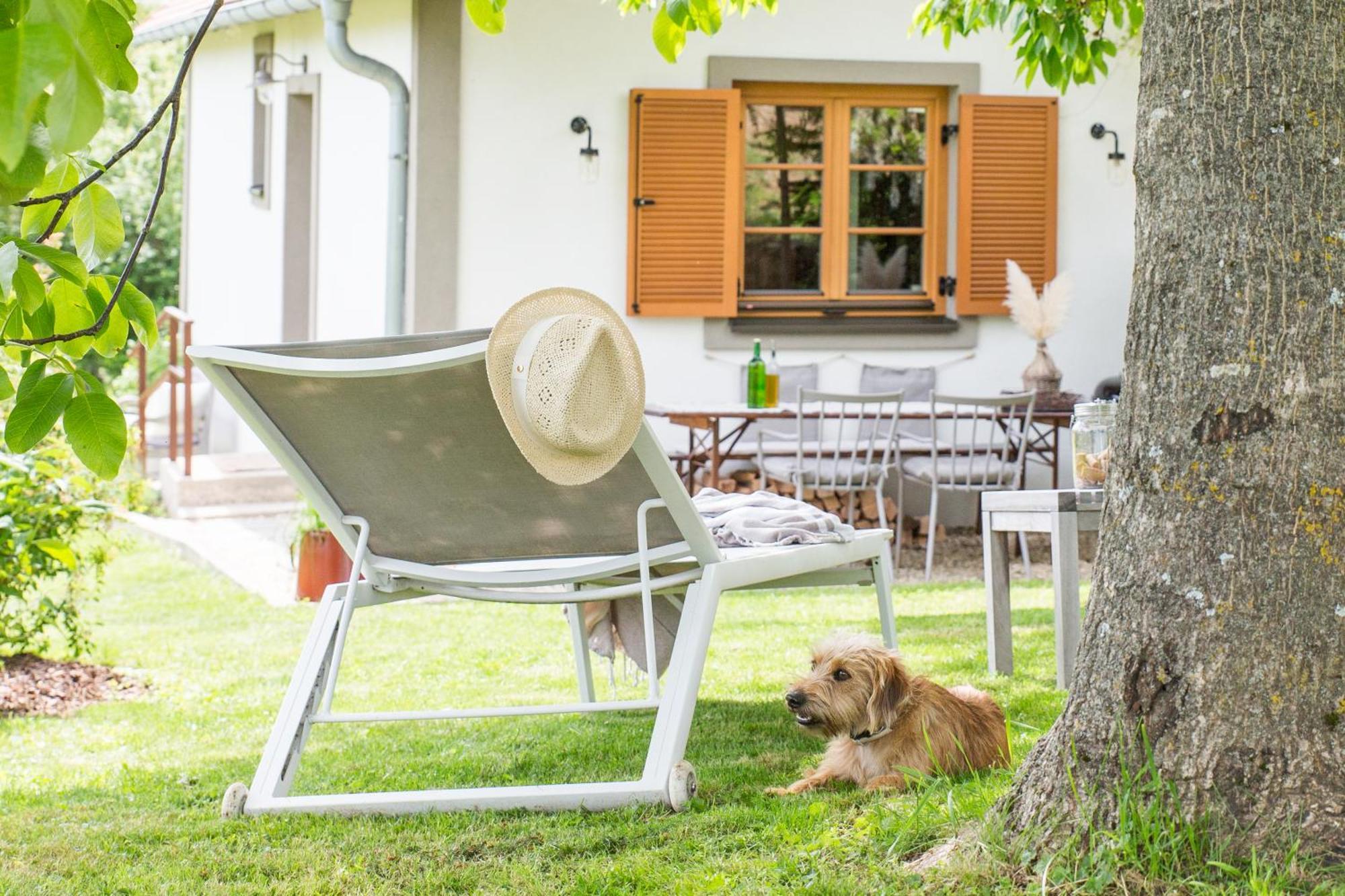 Weinlofts Weinloft I Villa Edlitz im Burgenland Екстериор снимка