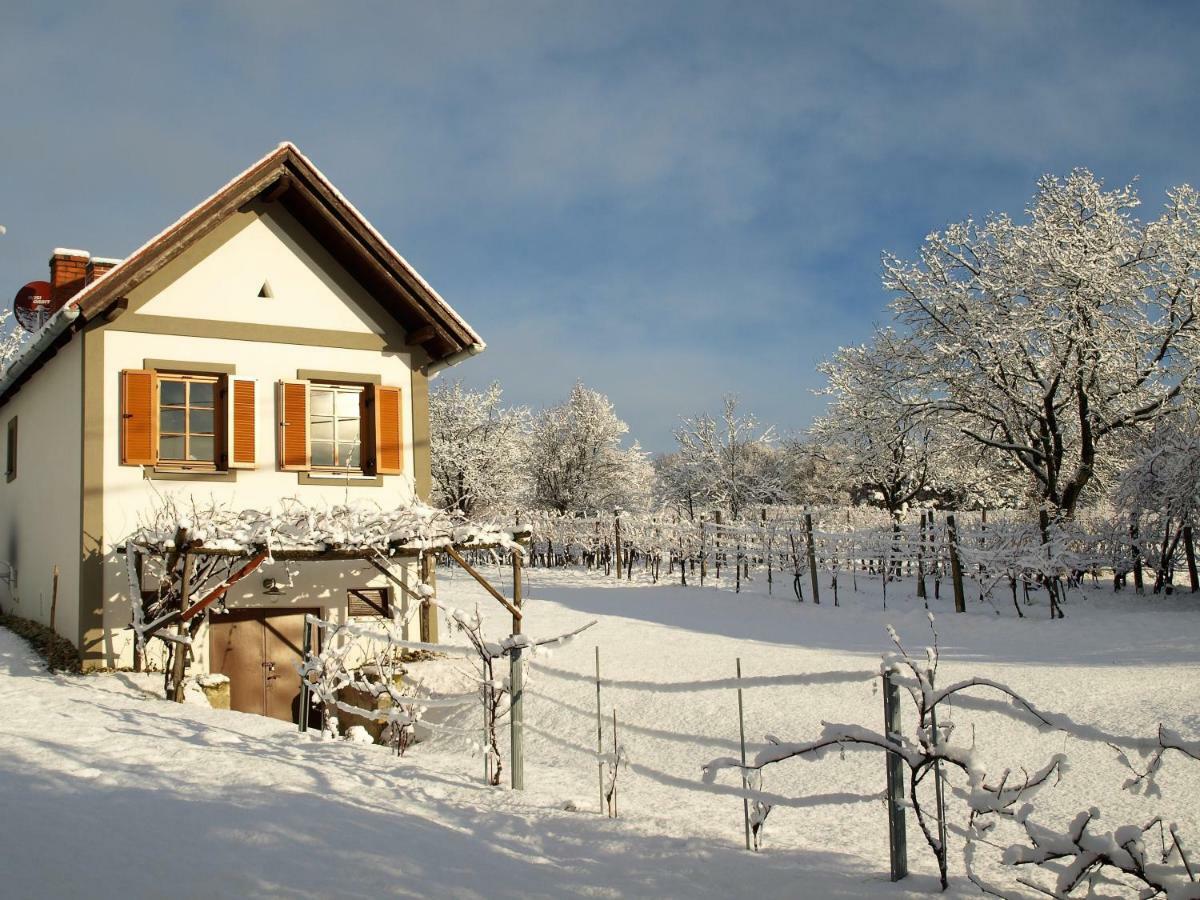 Weinlofts Weinloft I Villa Edlitz im Burgenland Екстериор снимка